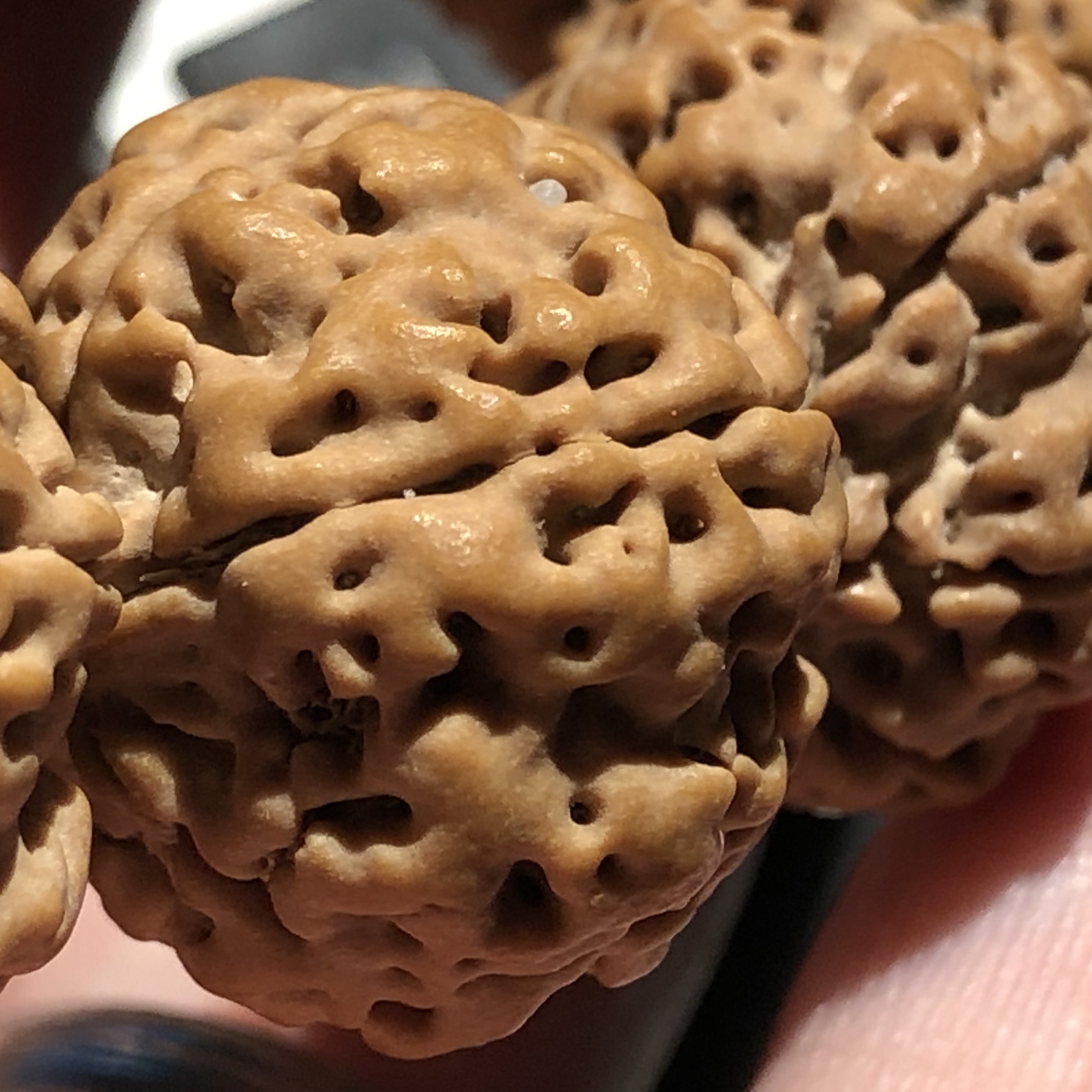 足够霸气有面子,18年顶级蜂王金刚菩提子!