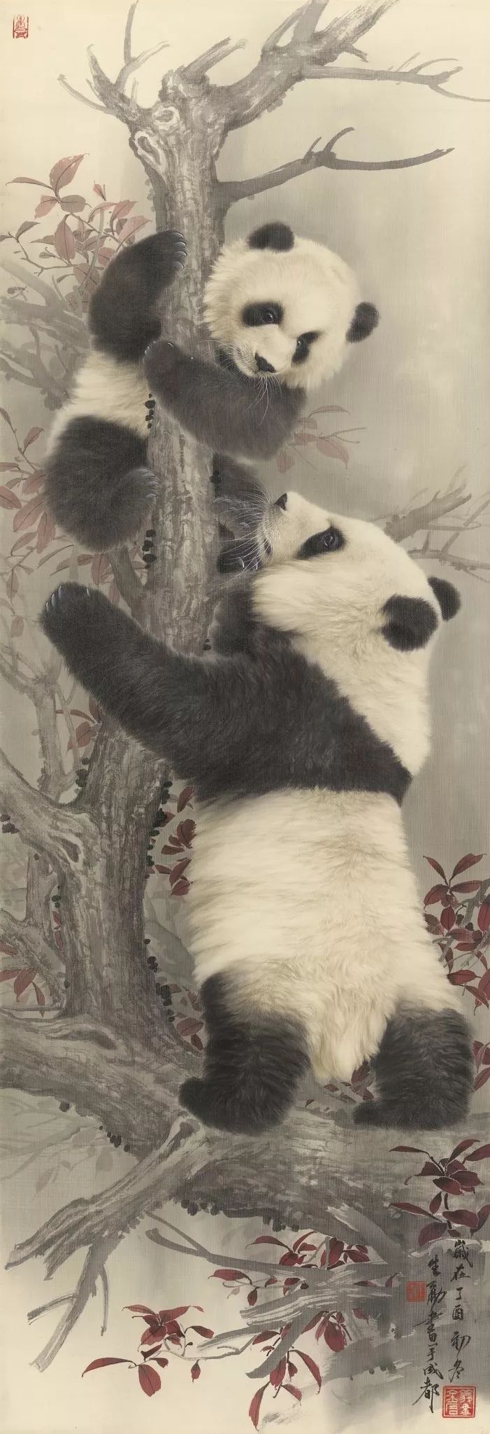 王申勇工笔熊猫步骤图片
