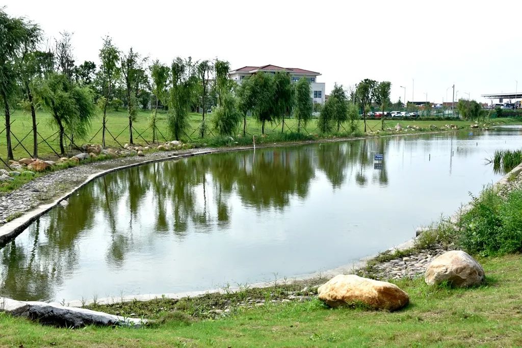 40年巨变!通州徐庄!