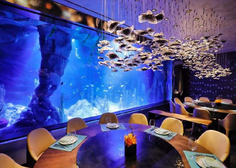 上海的"深坑酒店"建造11年,即将开业了,网友纷纷预定水下套房