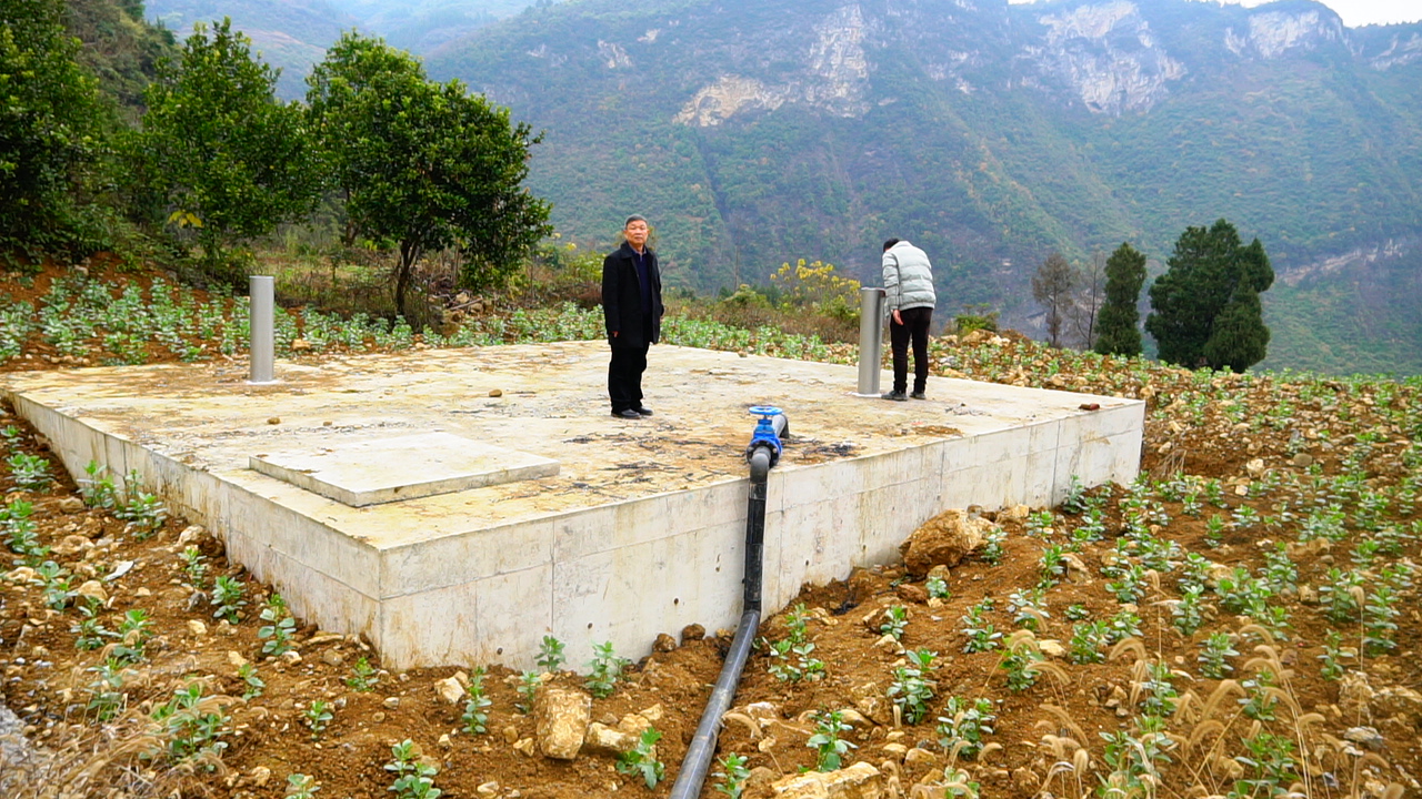 金沙县太平乡:完善配套设施建设 推进丑柑产业发展