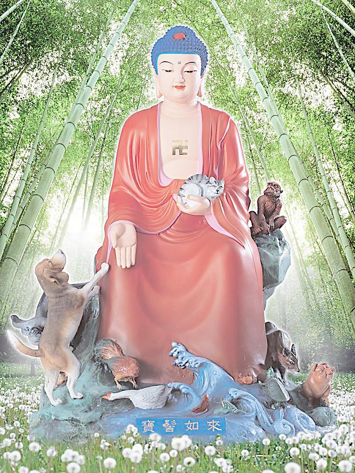 这些星座男,性格上很柔弱,也习惯了当老好人