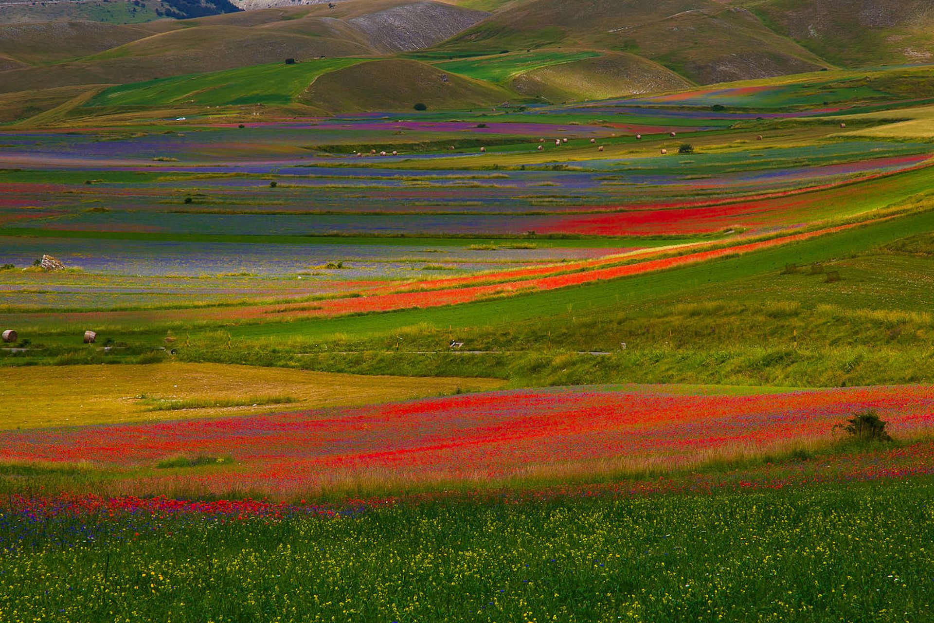 新疆那拉提五彩城是一座美丽的景点,它拥有独特迷人的风景和文化肺Ё
