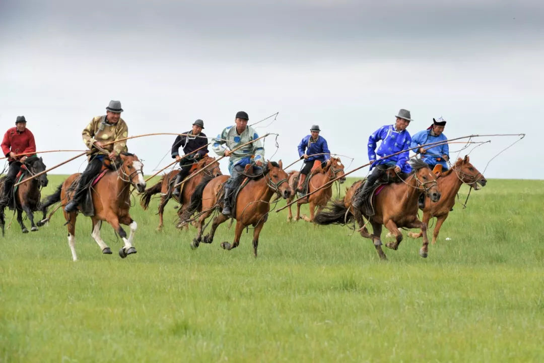 锡林郭勒蒙古族套马——永远的套马杆