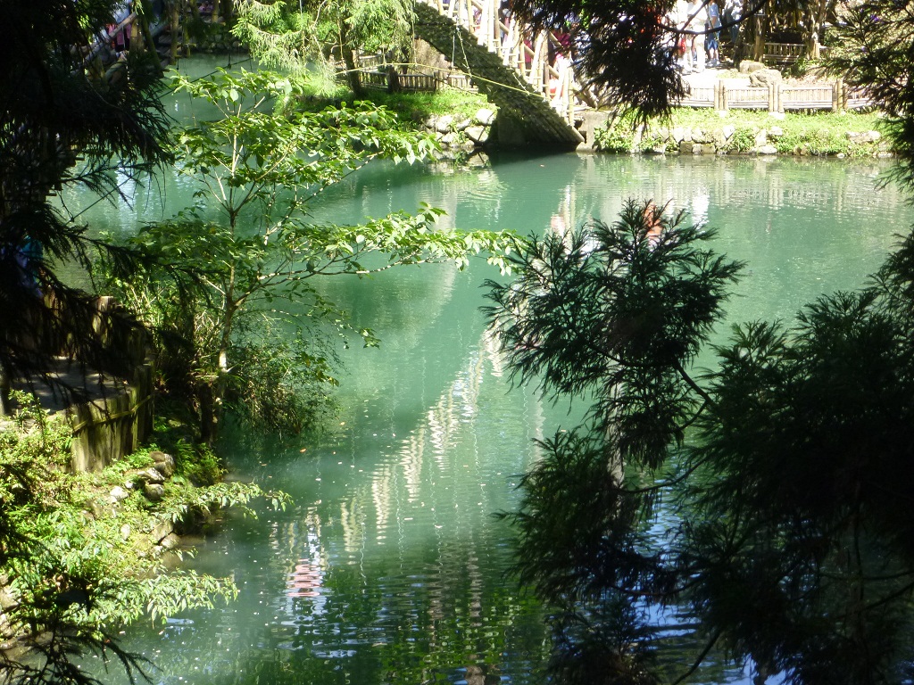 溪头,沐浴森林之光