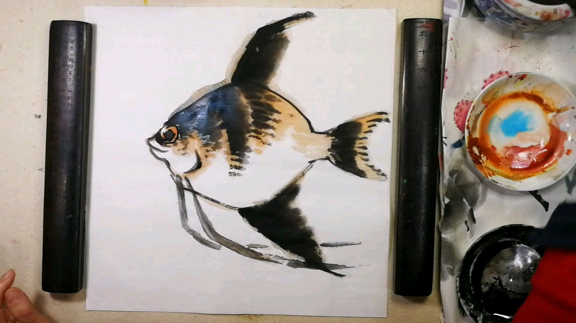 国画基础教程动物篇。热带鱼:分步骤讲解