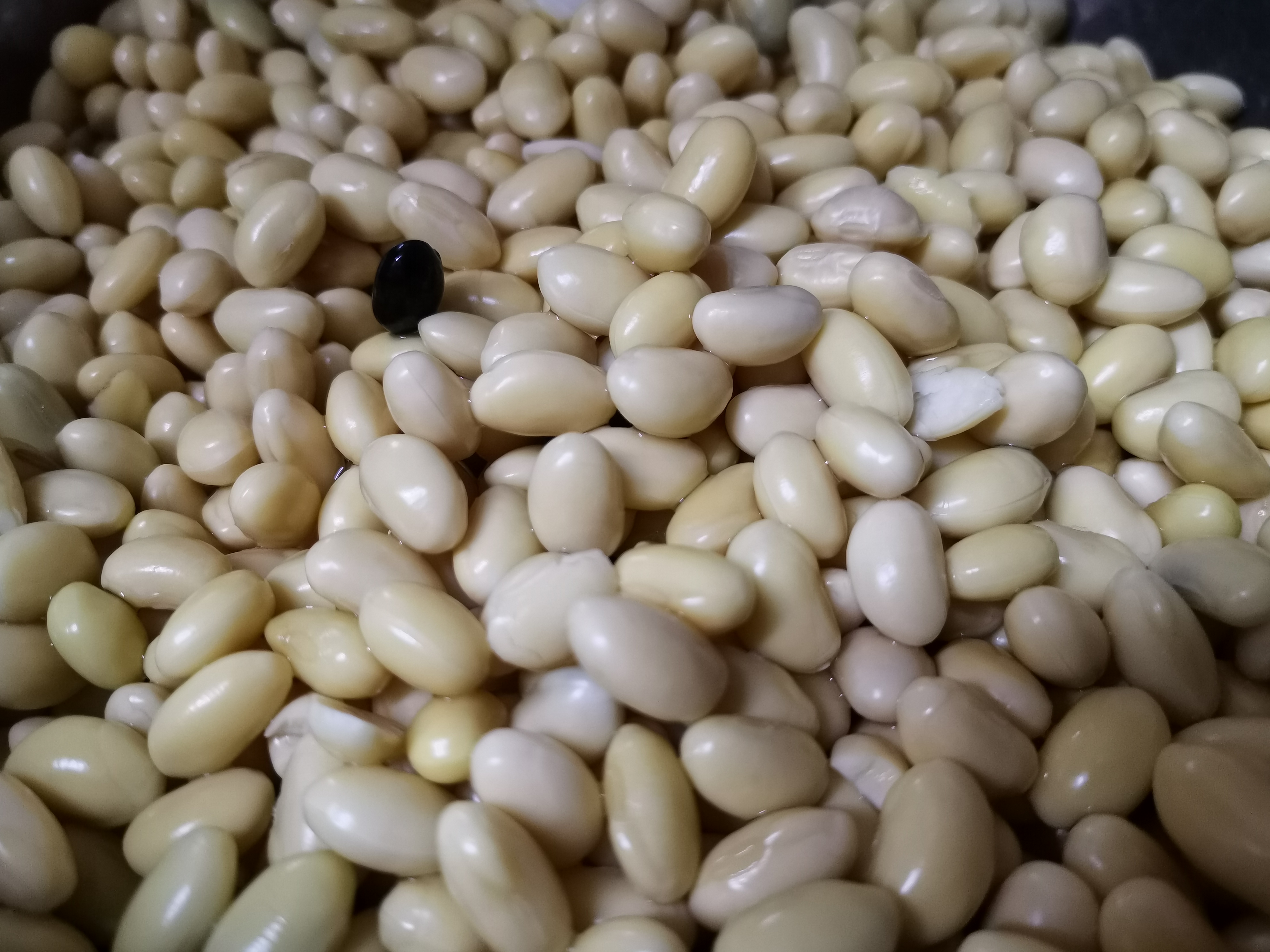 用料理机把豆子打成豆浆,加水的比例没有关系,一斤豆子这次分了3次