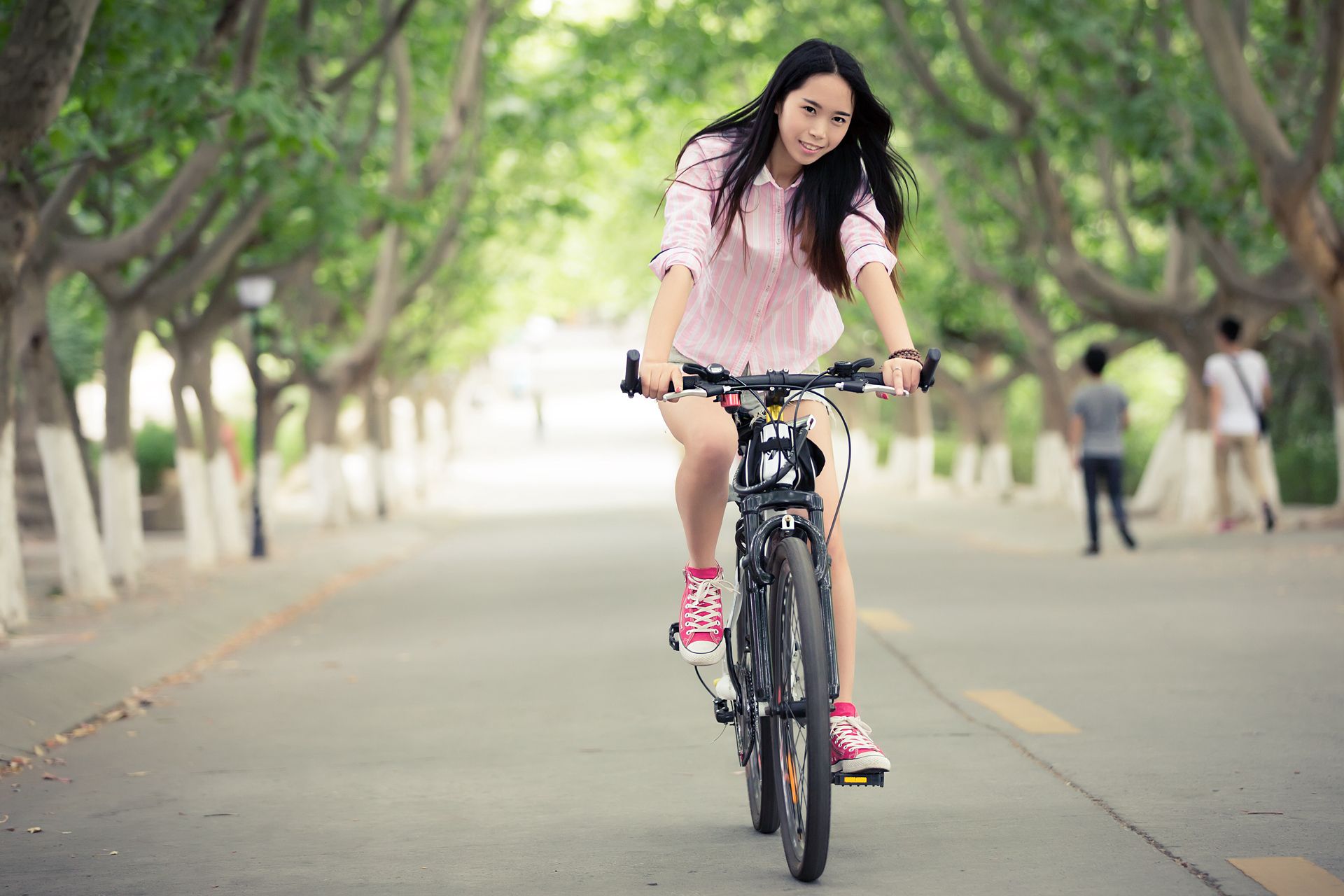 5部青春校园文:我拍下他们的青涩年华,却把自己遗忘在照片背后