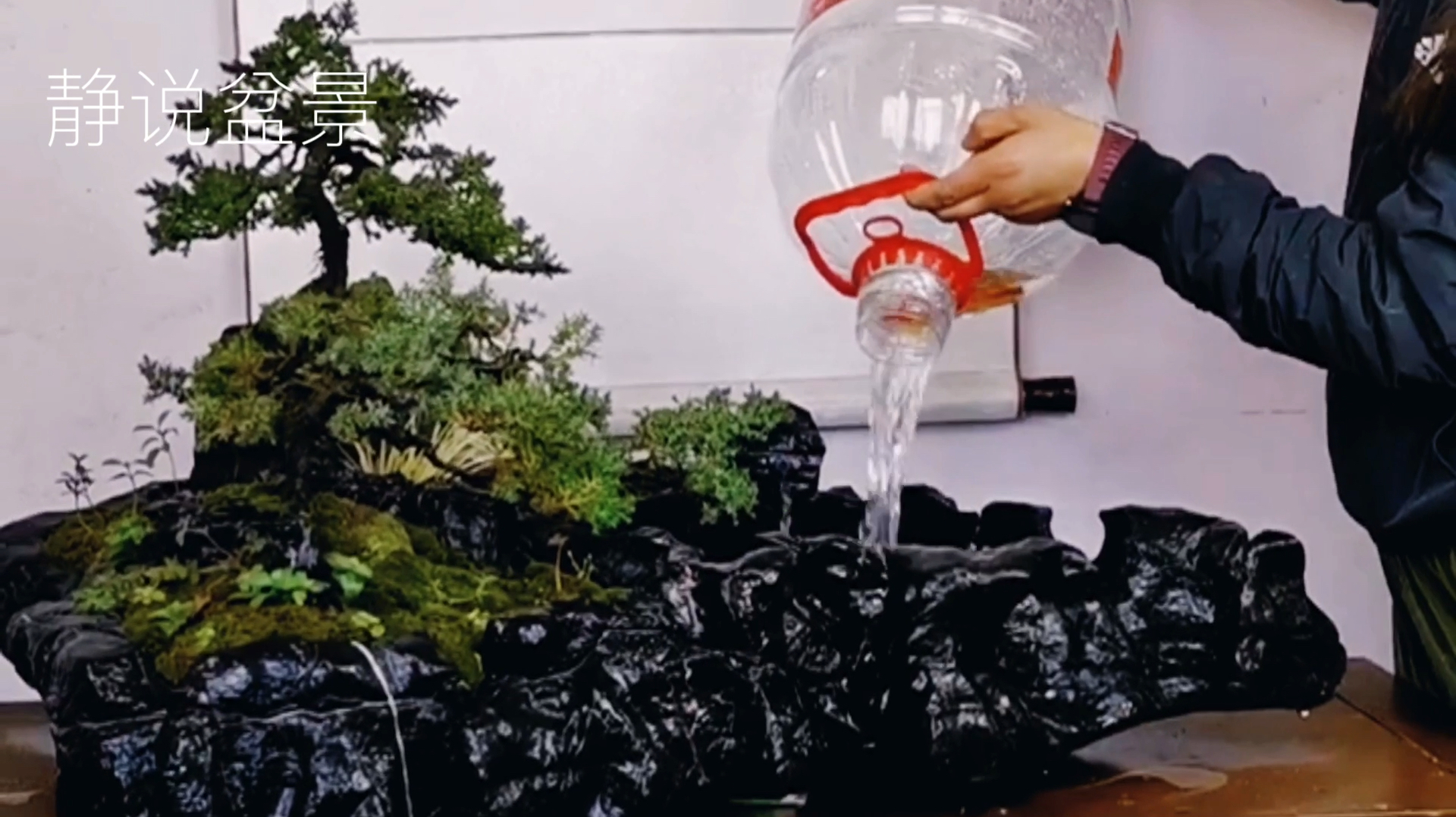 打磨创作奇特“鱼缸”盆景,全程手工雕刻组合搭配,造型独一无二