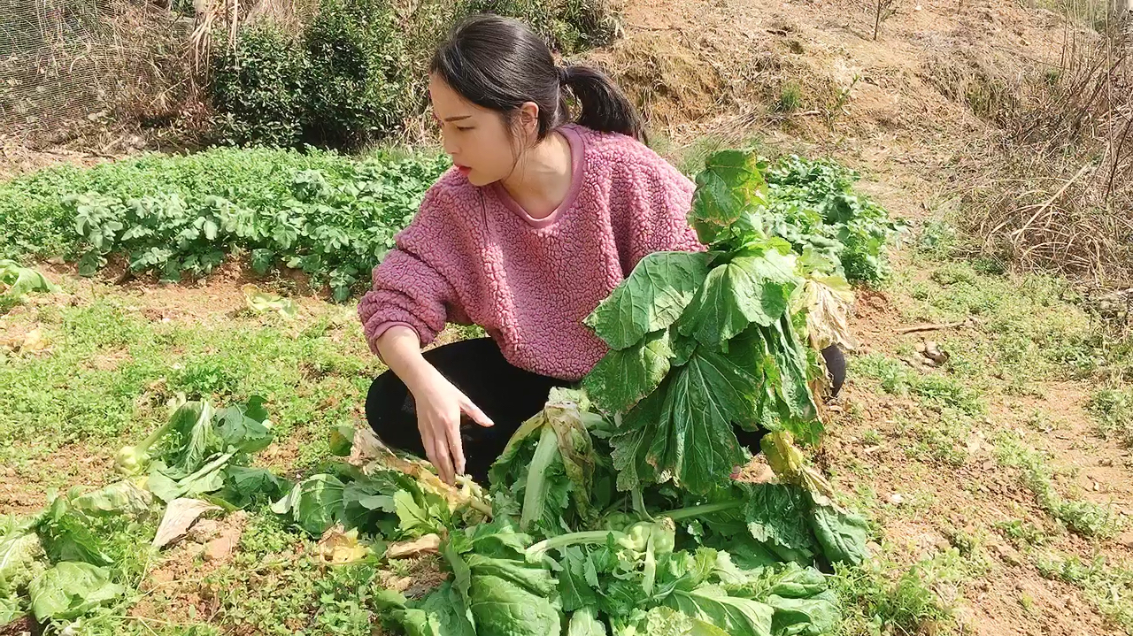 婆婆用土方法腌制酸菜 特别好吃 放一年都不会坏