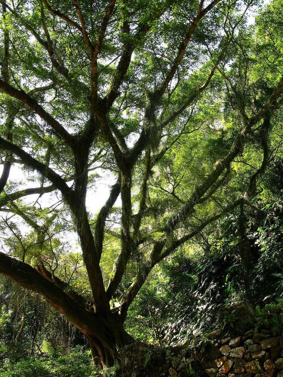 鲤龙潭森林公园是一个集山,湖,林于一体的绝佳旅游胜地,位于象山县