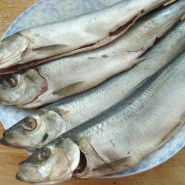 鲱鱼简单煎一下,味道超级赞,一人一条不够