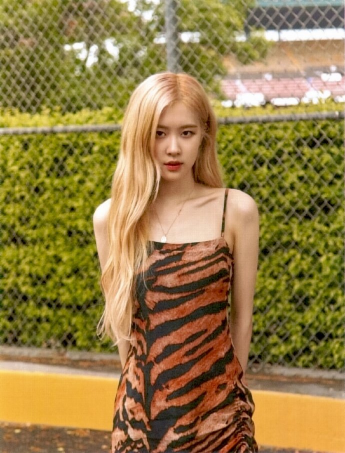 收图停不下来!bp夏威夷写真rose内页公开!