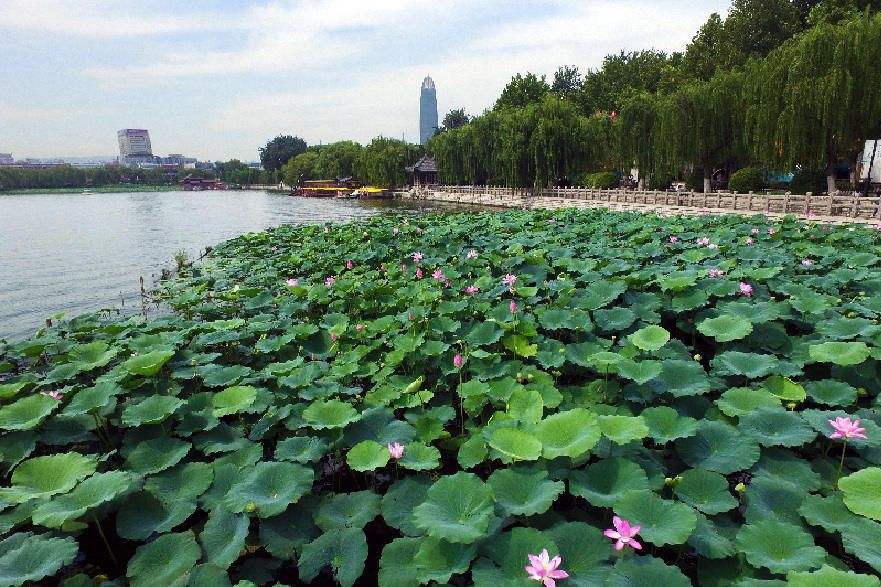 被称为济南三大名胜的风景区,你去过几个?