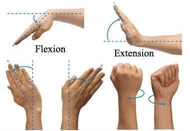 腕关节旋转疼痛,有响声,可能是什么情况,怎么办?医生告诉您