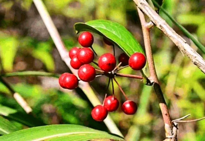 手臂- 优质问答专区