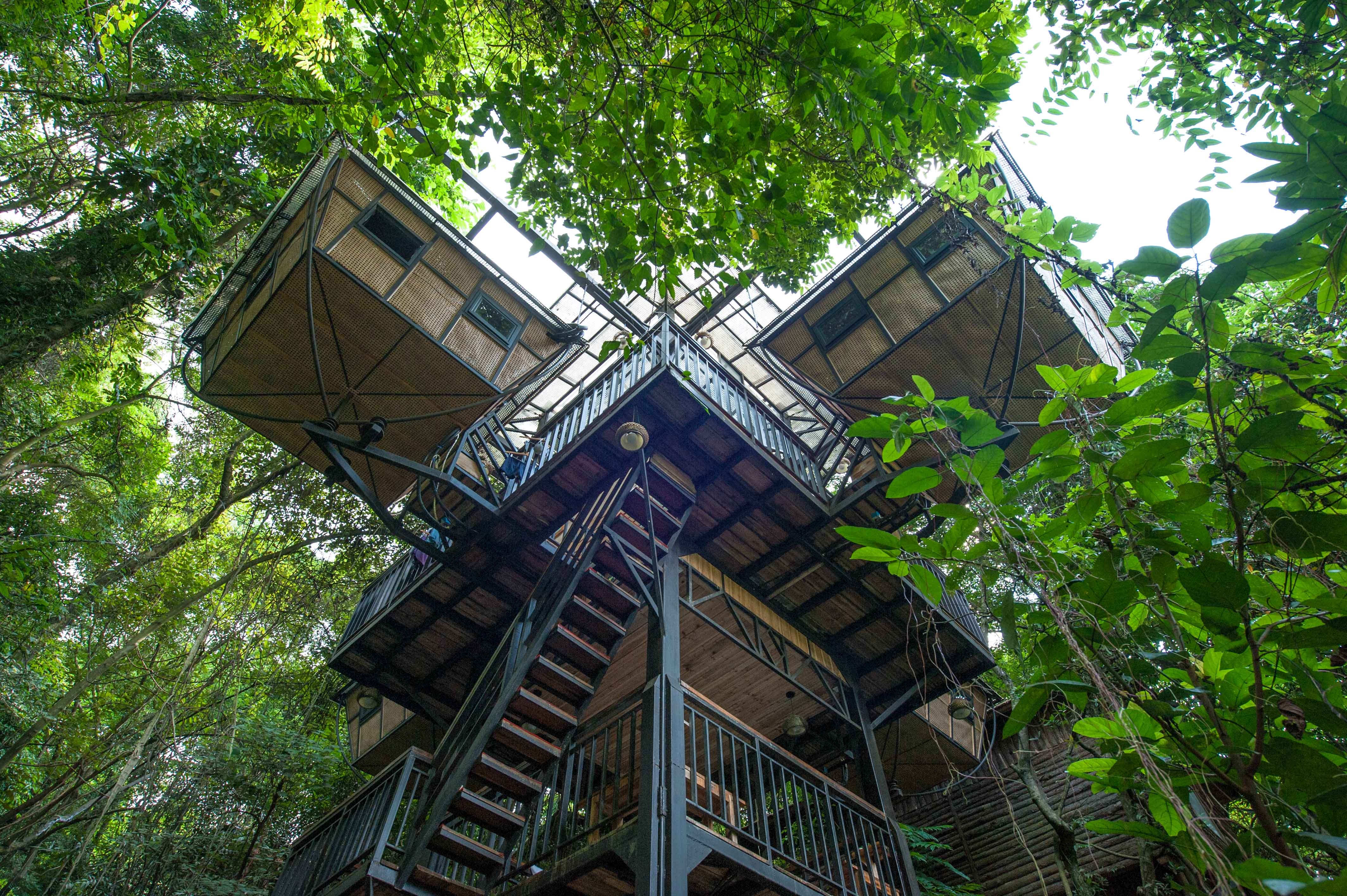 来广东旅行必须得去的一个景区,这里的树屋堪比"林间仙境"!