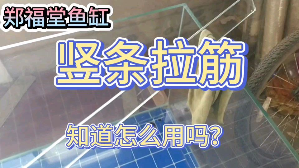 竖条拉筋,你知道怎么用吗