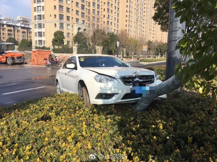 一轿车司机开车撞树上去了,网友"树:怪我咯"!