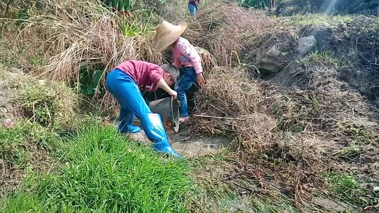 农村小朋友在河里摸鱼,看他发现了什么