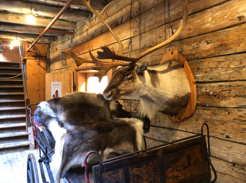 驯鹿车有没有感觉一种高贵的气质呢?