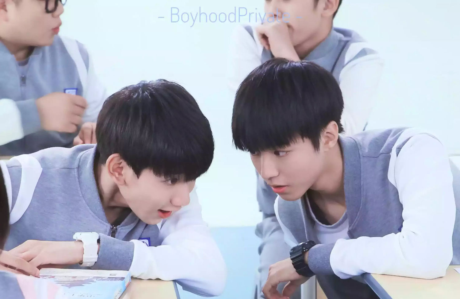 tf·传话·boys上线,有一种友情叫做交头接耳