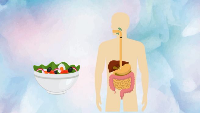 [图]食品卫生与营养学专业：研究食物与机体的相互作用等的一门学科