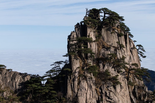 欣赏这美丽的自然风景,优雅别致,绿水青山,生机盎然,力量无穷的大自然