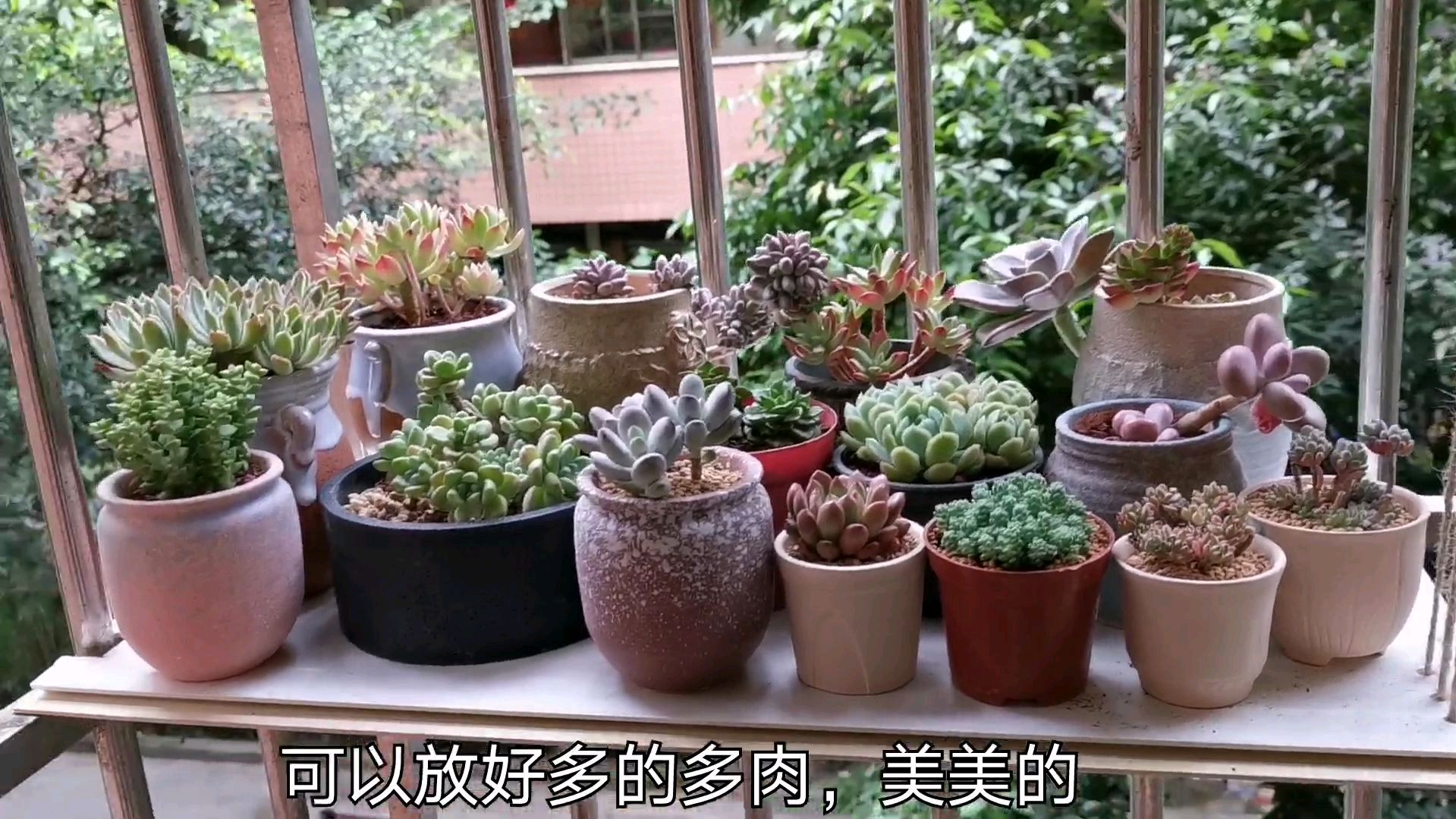 多肉太多没地放,老公用10分钟帮我做了个花架,放上多肉美美的