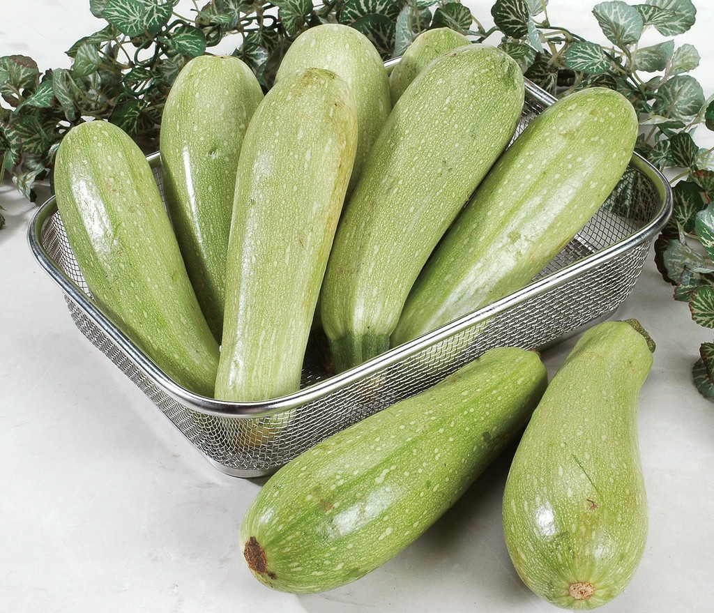 大棚- 热门商品专区