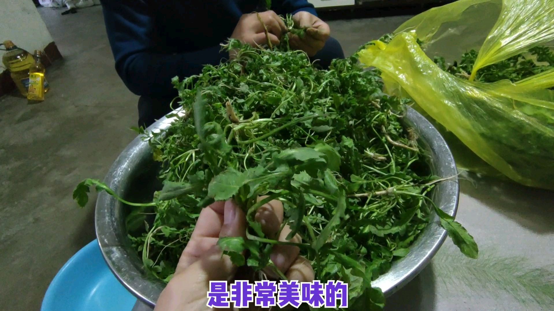 有一种野菜叫地菜,很多太原人都没有见过更没有吃过!