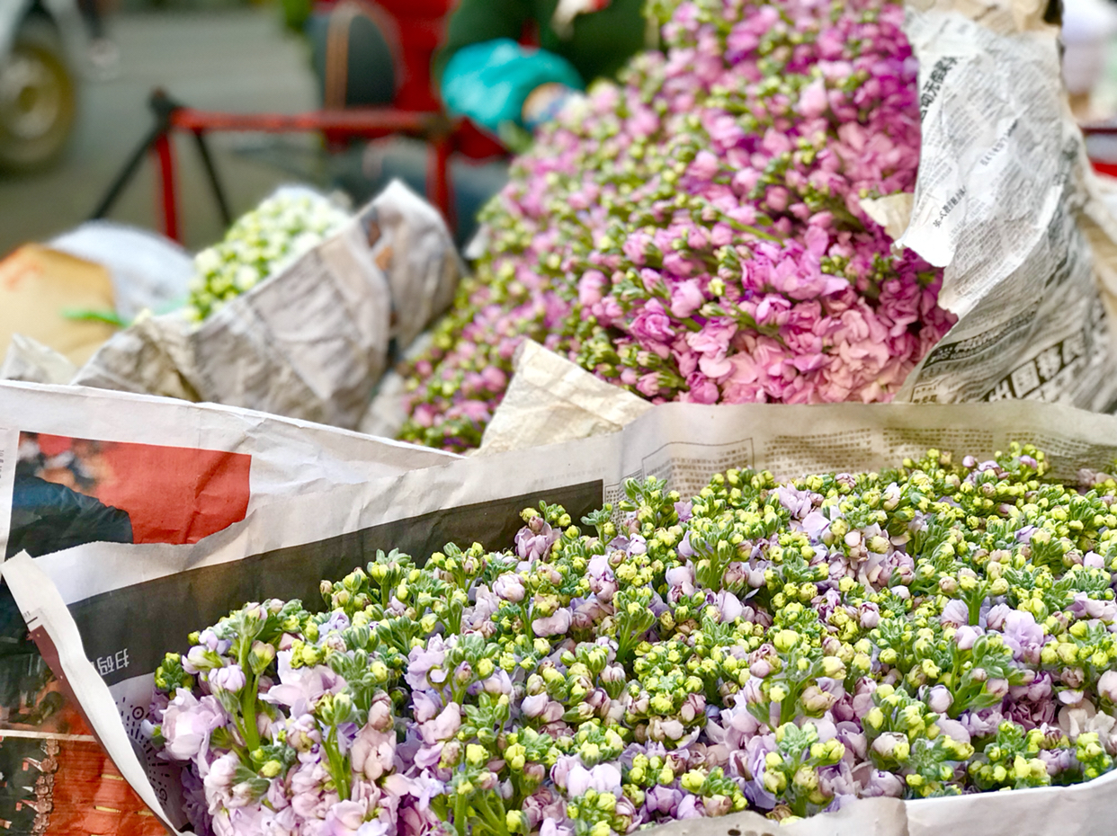 云南十八怪鲜花论斤卖,春城昆明逛花卉批发市场