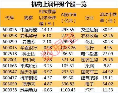 新基建股票结构分析表