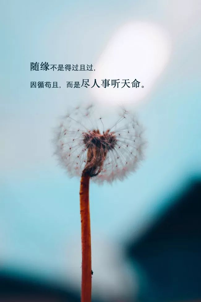 2019最流行的一句说说经典语录,适合发朋友圈的潮流句子