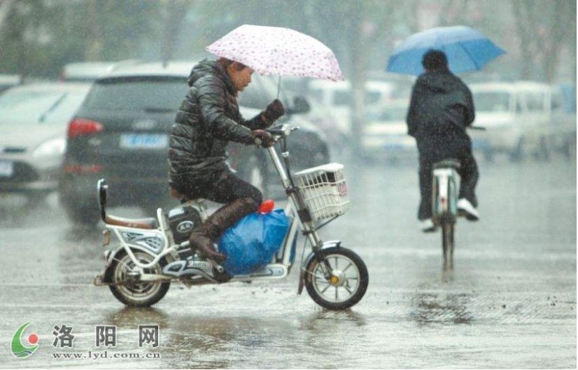 下雨!降温!再升温…接下来这半月变着花样虐,洛阳人挺住!