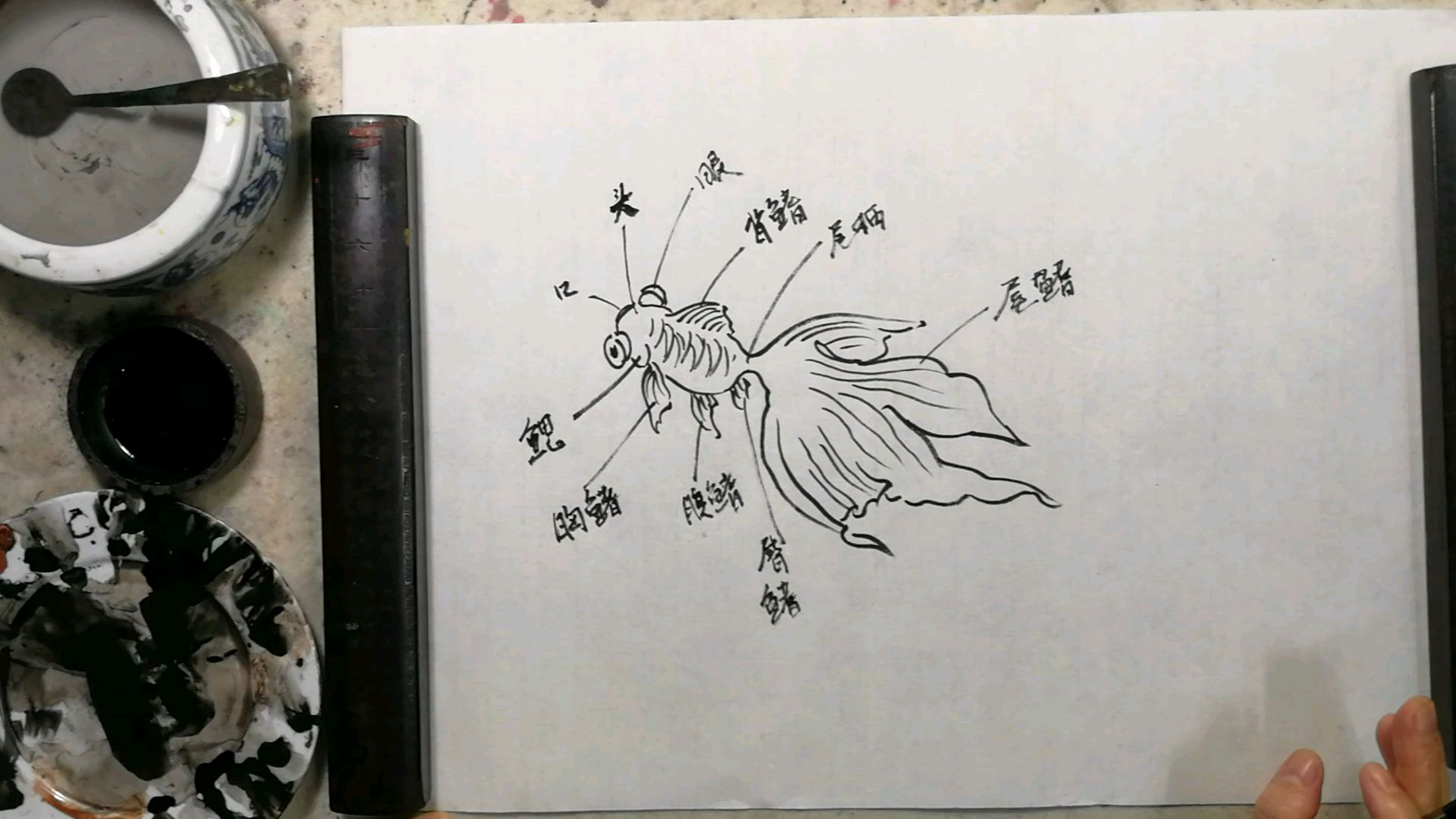 金鱼画法,国画提高。金鱼结构很重要,95%的人忽视了
