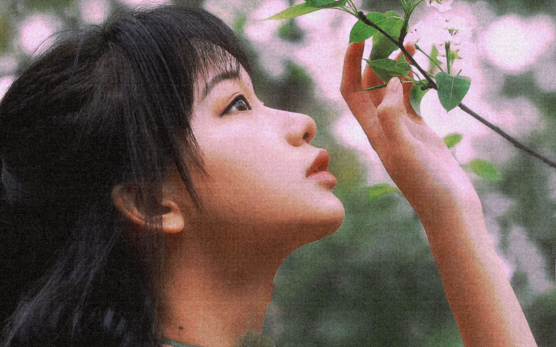 ǰȨý±仯Ƽ1984콡?߹ۿ