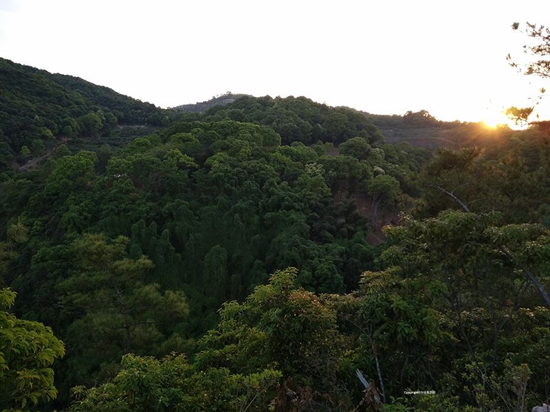 震撼!瀑布花海,百年藤瀑,万年火山岩,这里竟藏着这么个好去处