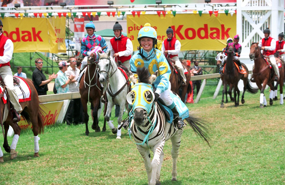 斑马能被驯化吗?