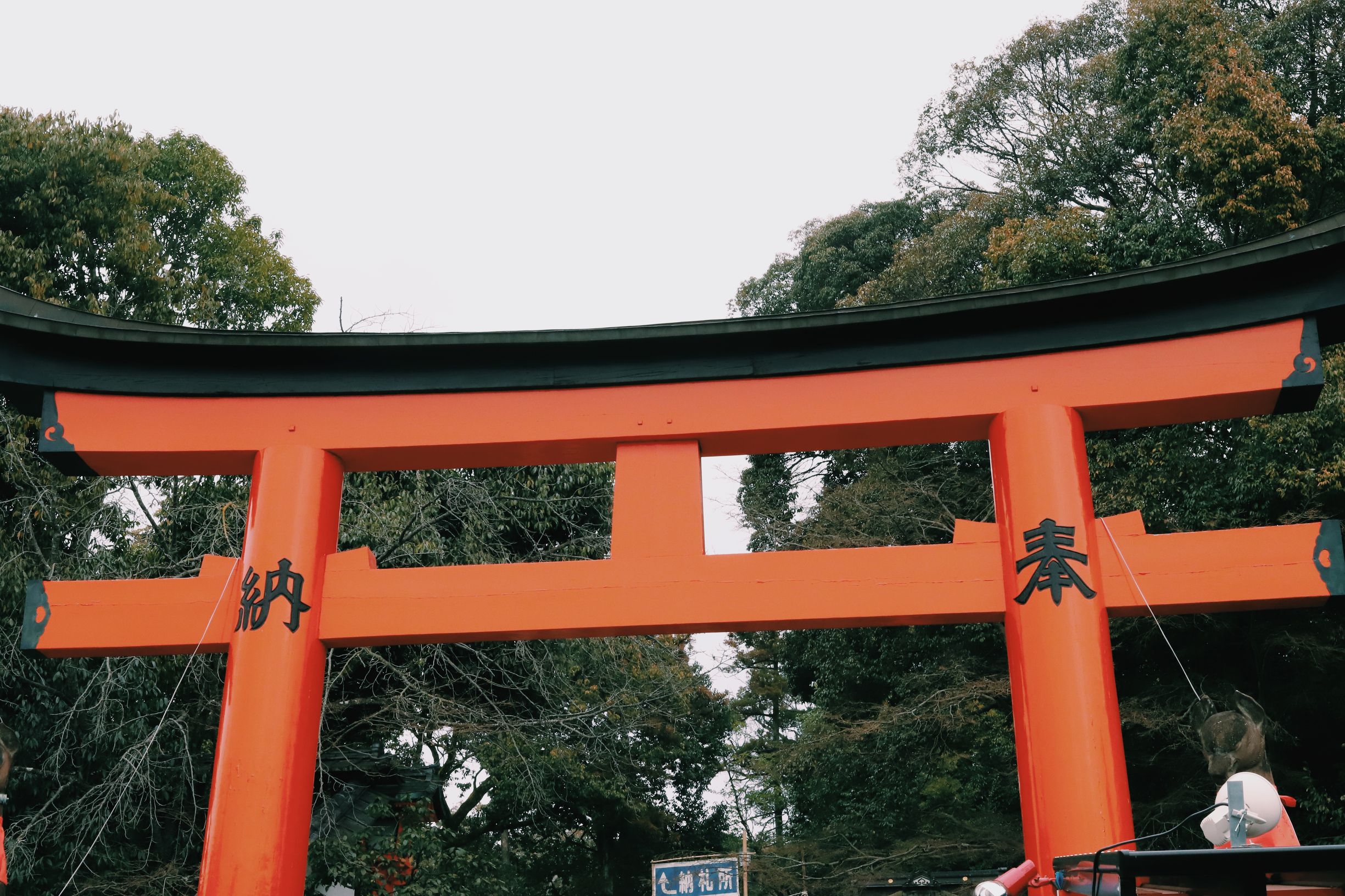 镜头看日本 京都伏见稻荷大社 橙红千本鸟居壮观神秘