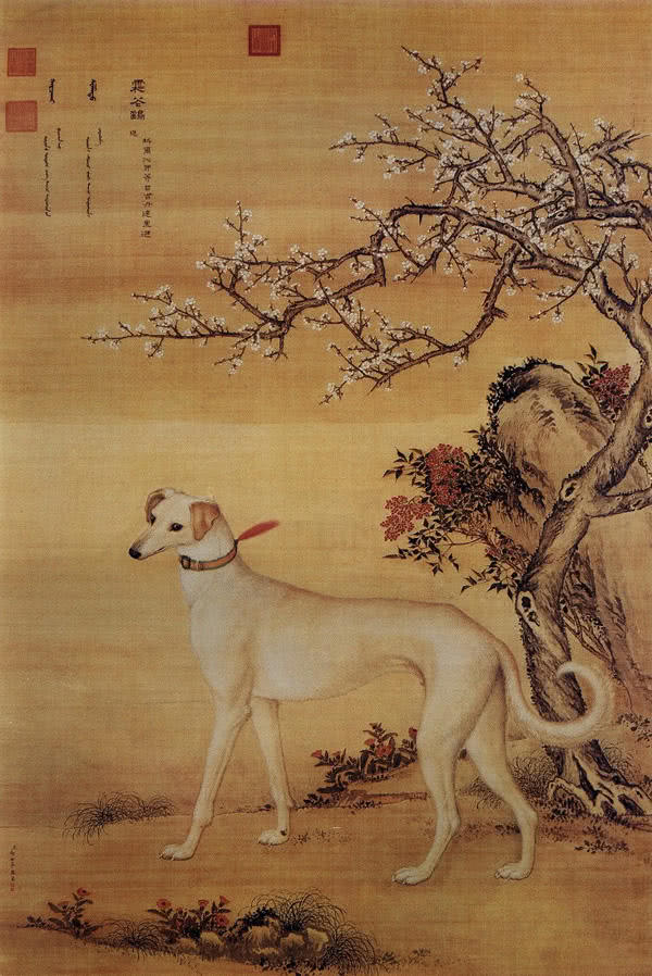 狗年说狗:乾隆皇帝的十只猎犬,全都高昂凶猛