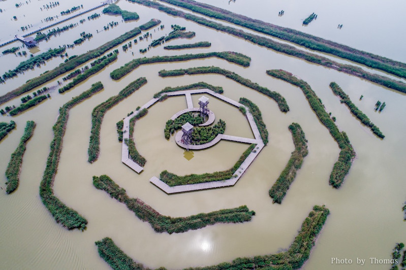 旅游:曹妃甸湿地旅游美景图集!值得收藏!