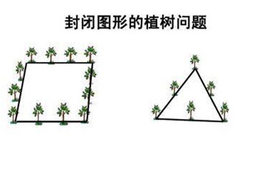 植树问题圆形图片