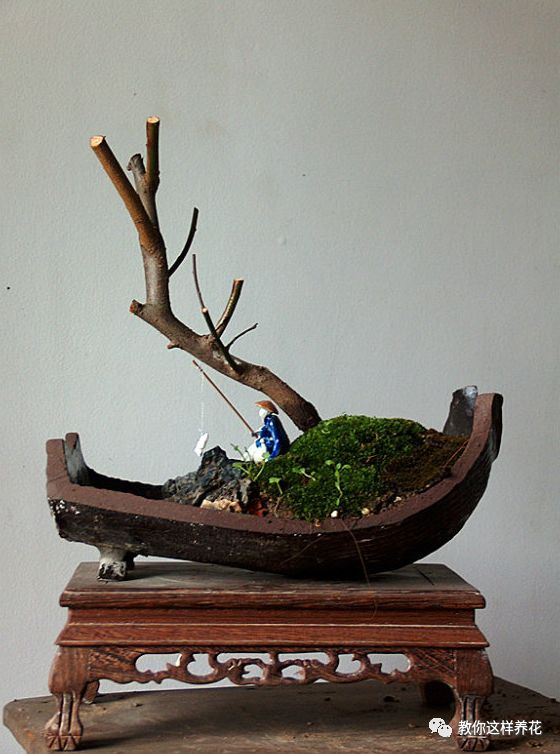 酒坛酒瓶别扔,切2刀,就是超美盆景,美死了!