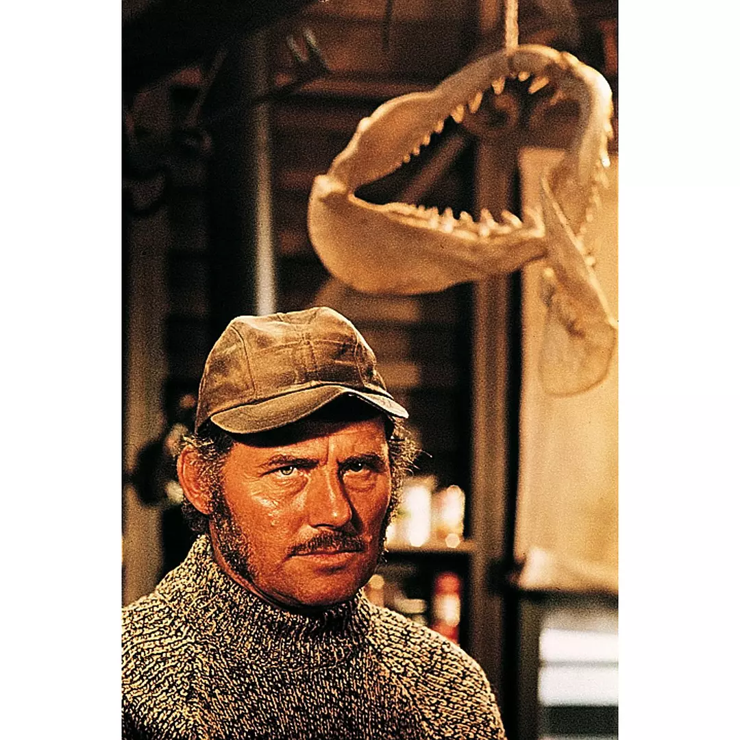 《大白鲨》系列最经典的一部,大导演斯皮尔伯格的成名作