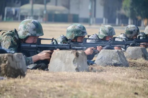 第71集团军"海鲨"特战旅:全体校尉军官,集合!