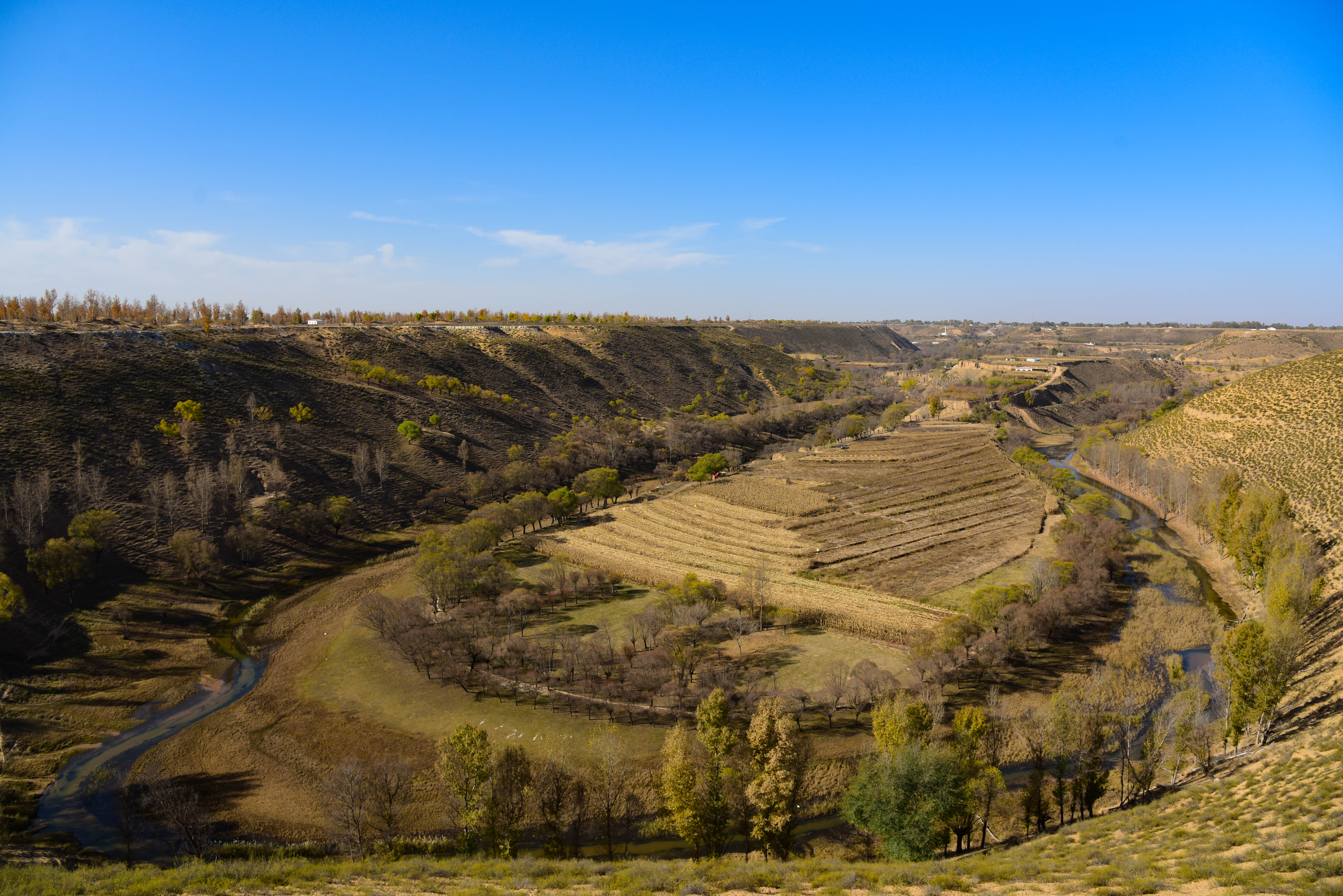 萨拉乌苏河秋景美