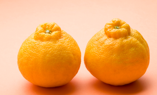 凸顶柑:这种是柑橘和橙子的杂交品种,据说比任何橘子都要好吃,但是