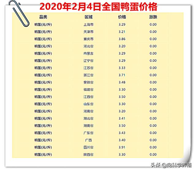 2020年2月4日养鸭行业及相关产品,全国鸭蛋价格早报