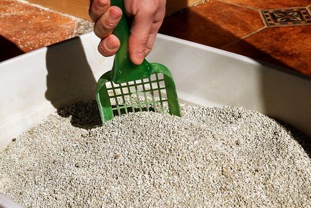 猫屎恶臭难解决,教你2招,不再为猫砂盆恶臭而烦恼